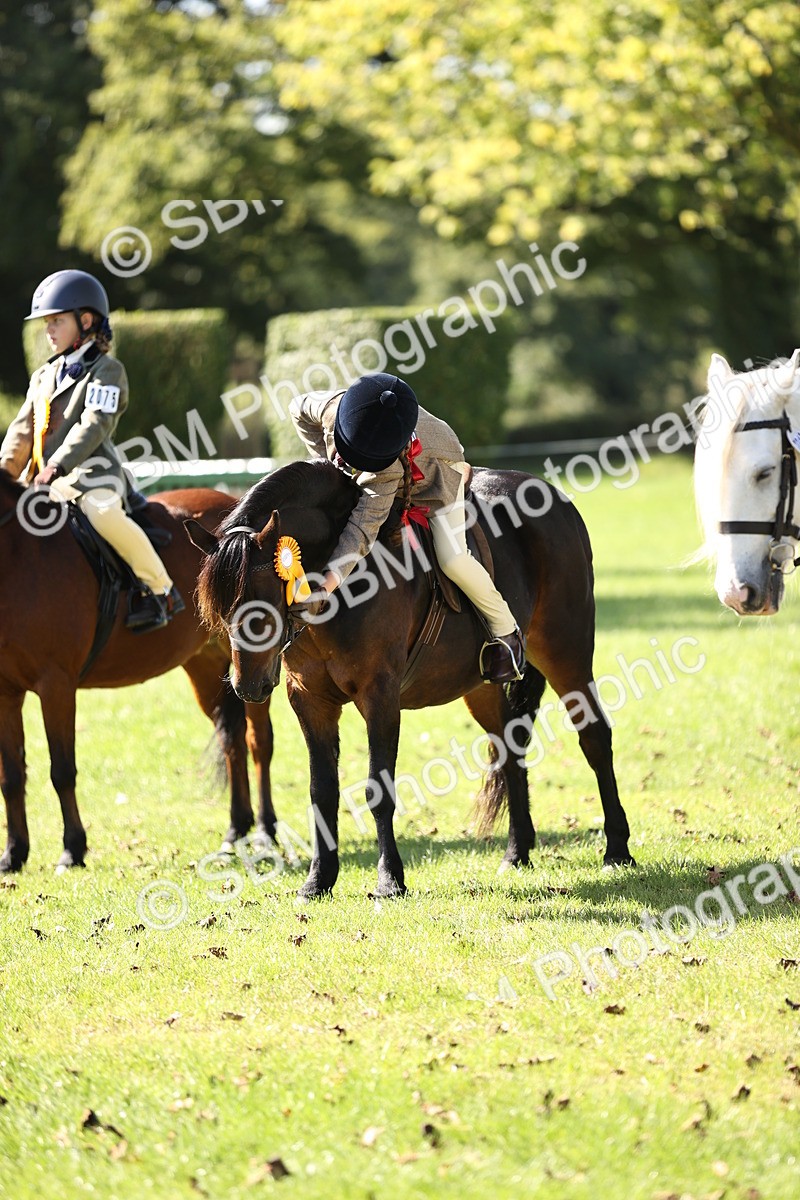 SBM_19370 - S3 - TSR Ridden Pony Showing