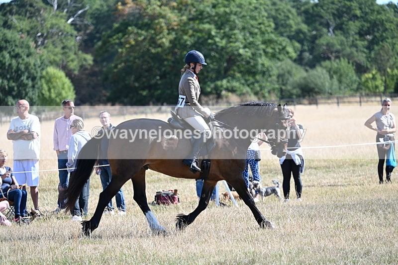 WJ7_3904 - Class 9 Mountain & Moorland Ridden