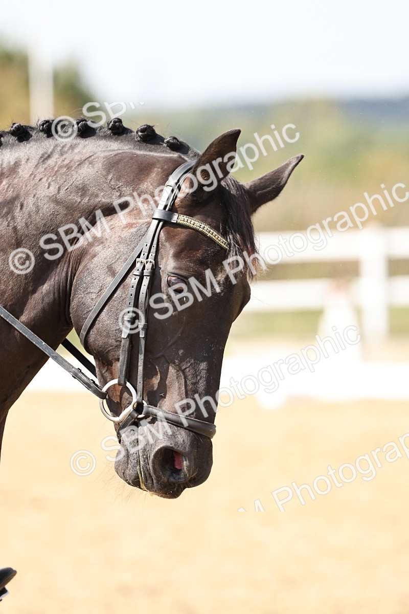 SBM_014871 - Class 7 - Medium 3