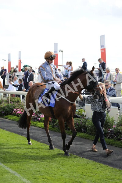 yr20082022r5-7 - Race 5 4.10pm Sky Bet Constantine Stakes