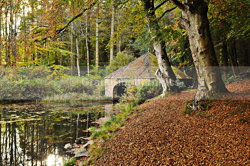 3 - Autumn around Selkirk