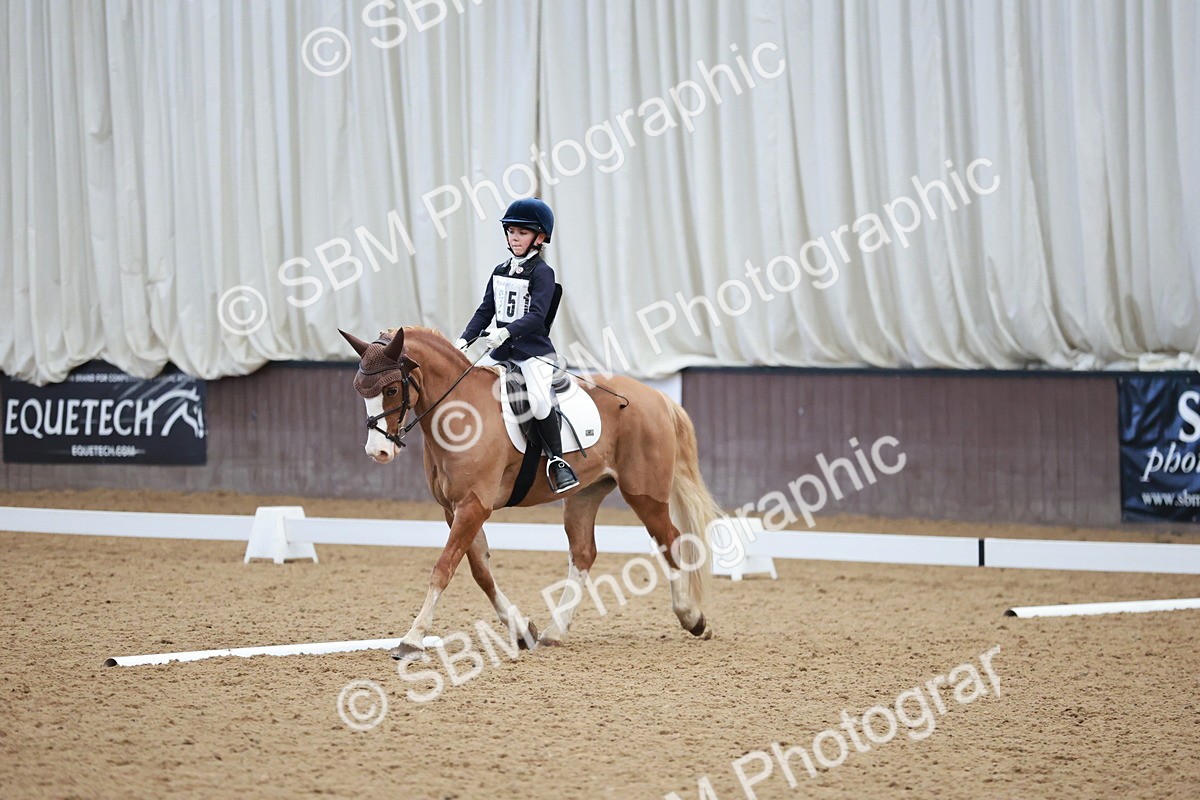 SBM_003964 - Class 2 - Novice 2020