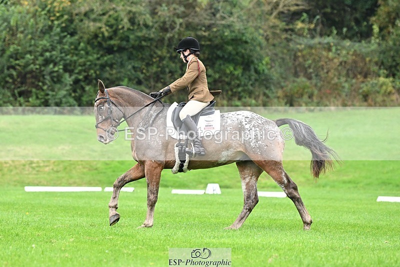 241024-105327-03085 - 501-Captain.Holly.Day-MUSTANG