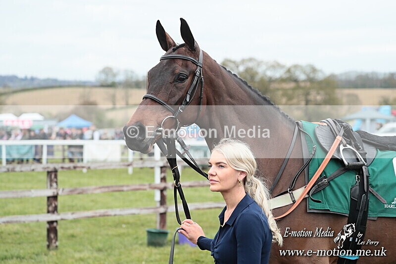 PtP 130425 201 - Edgecote Races 13/04/25