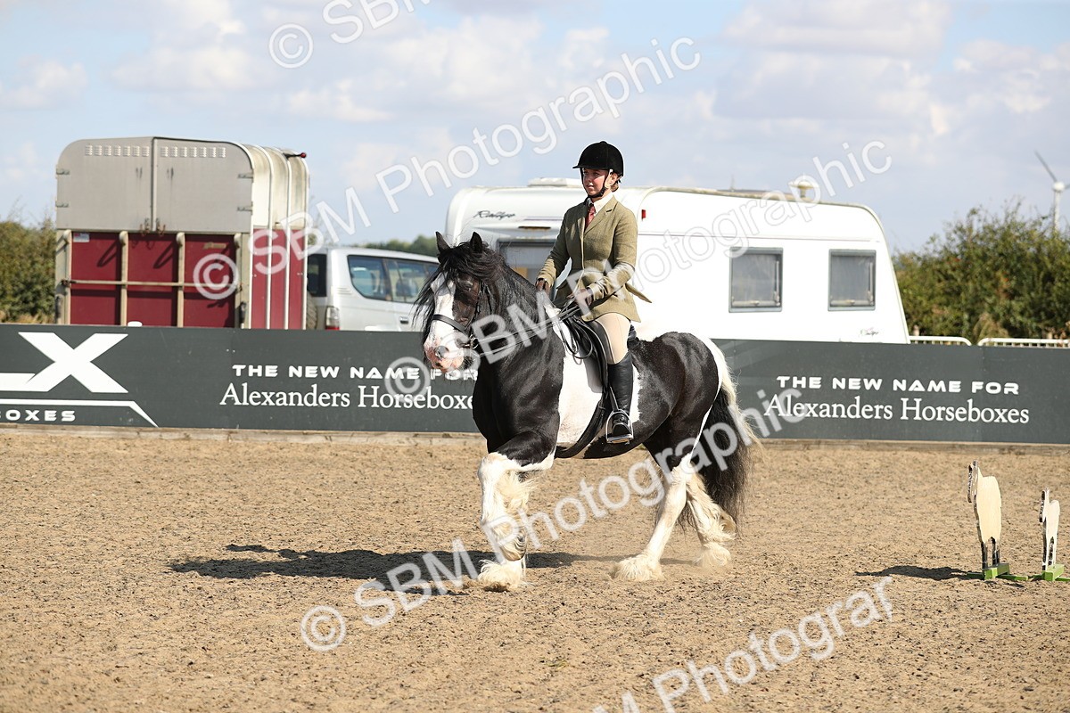 SBM_03229 - Class 44 Riding Club Horse/ Pony
