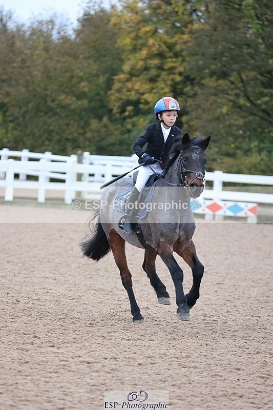 241116X-082856-00071 - Cls 03 Pony Intro 70cm