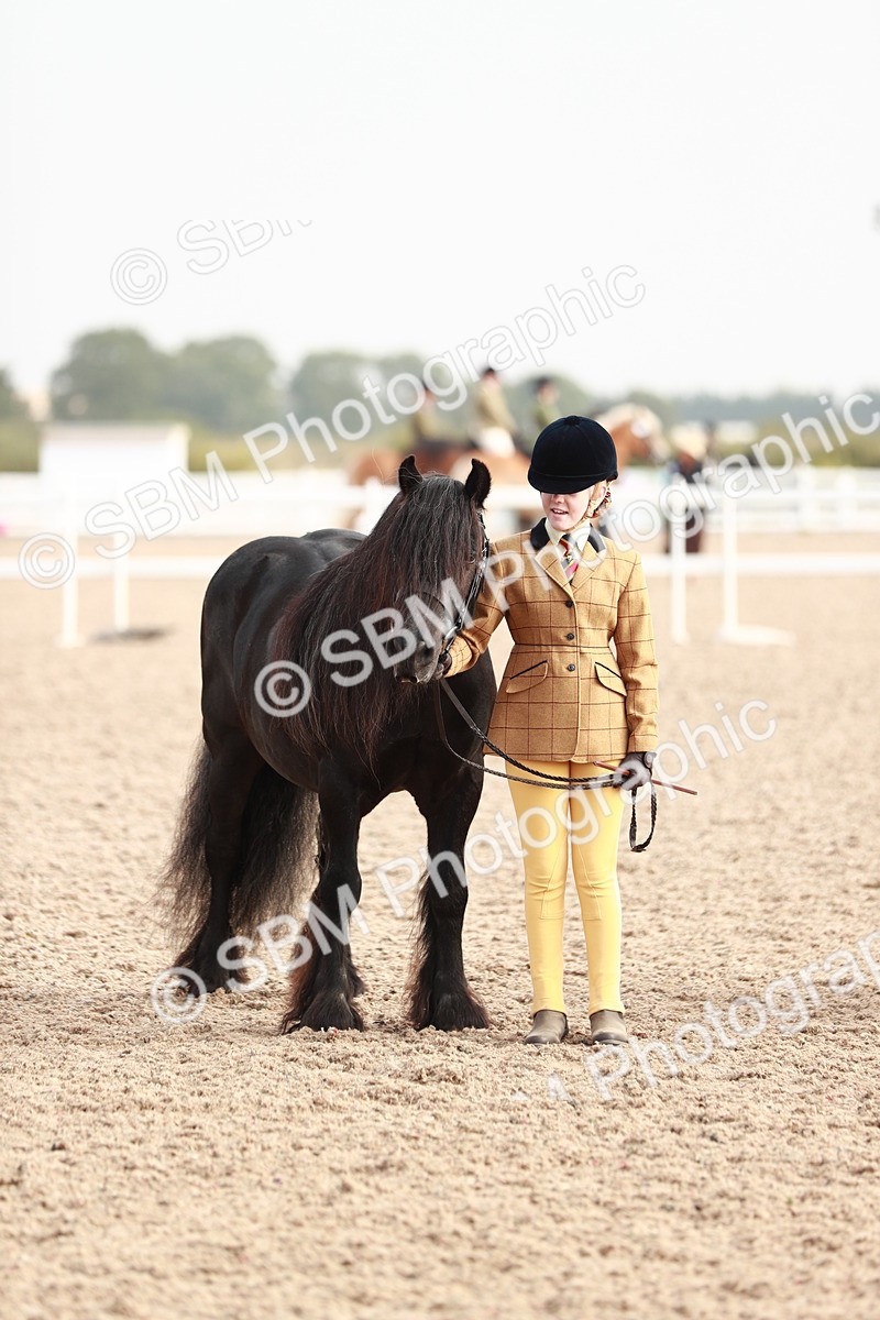 SBM_10533 - Class 204 Young Handler, 11-16 years