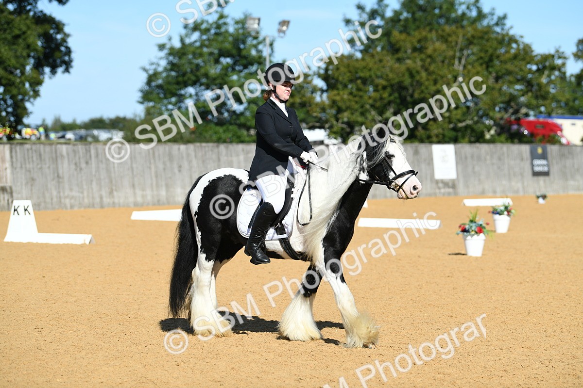 SBM_18086 - D4 - Small Tour Championship - Intro B