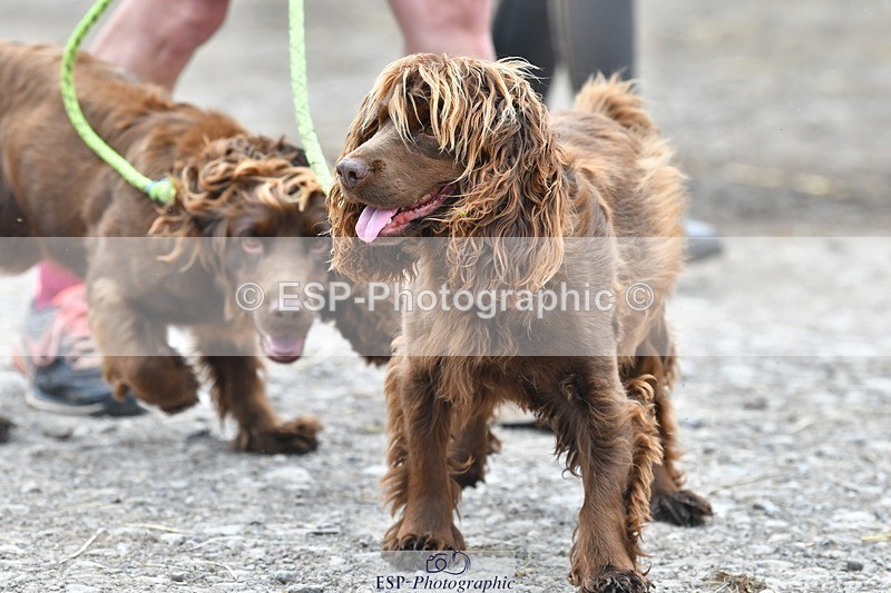 230817-123634-02790 - Stable Shots