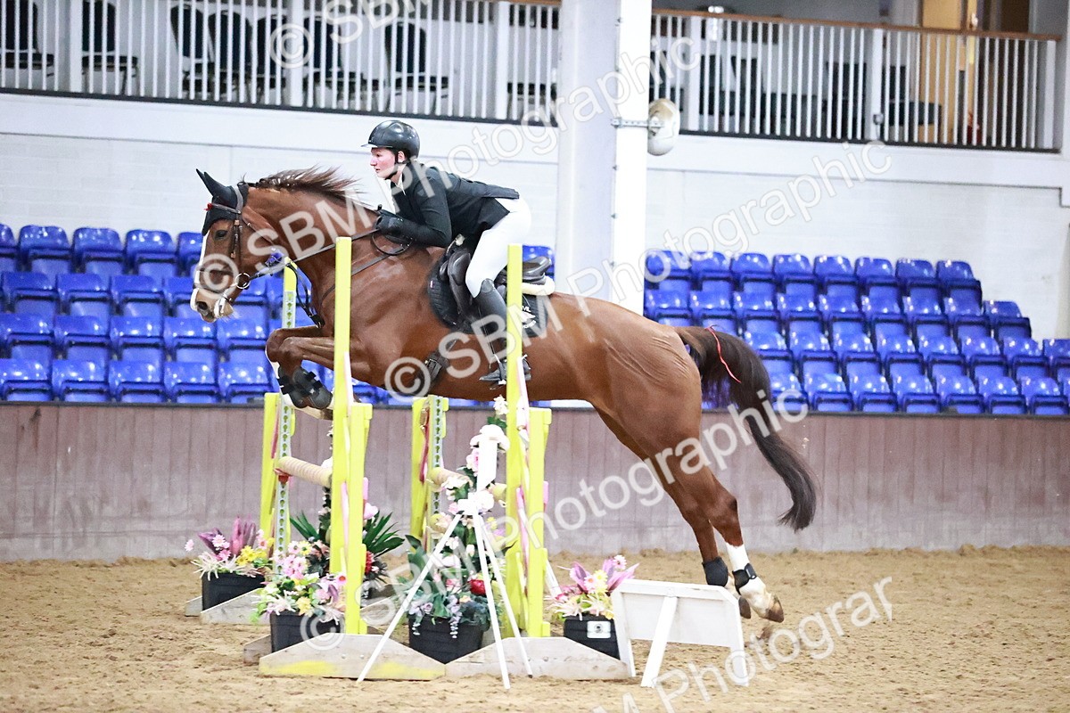 SBM_001736 - Class 8 - Senior British Novice 90cm