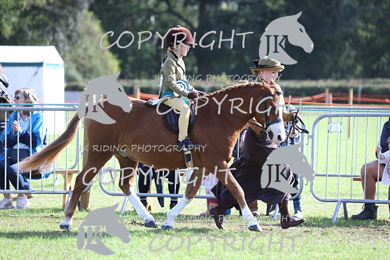 APP_3950 - Class 13 Lead rein