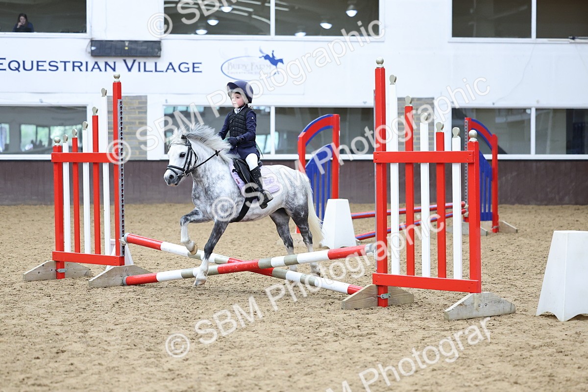 SBM_007379 - Class 2 - 50cm showjumping