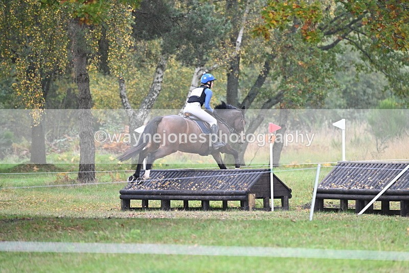 WJ6_4173 - 90cm Cam 1 Time 14:05 to 14:35