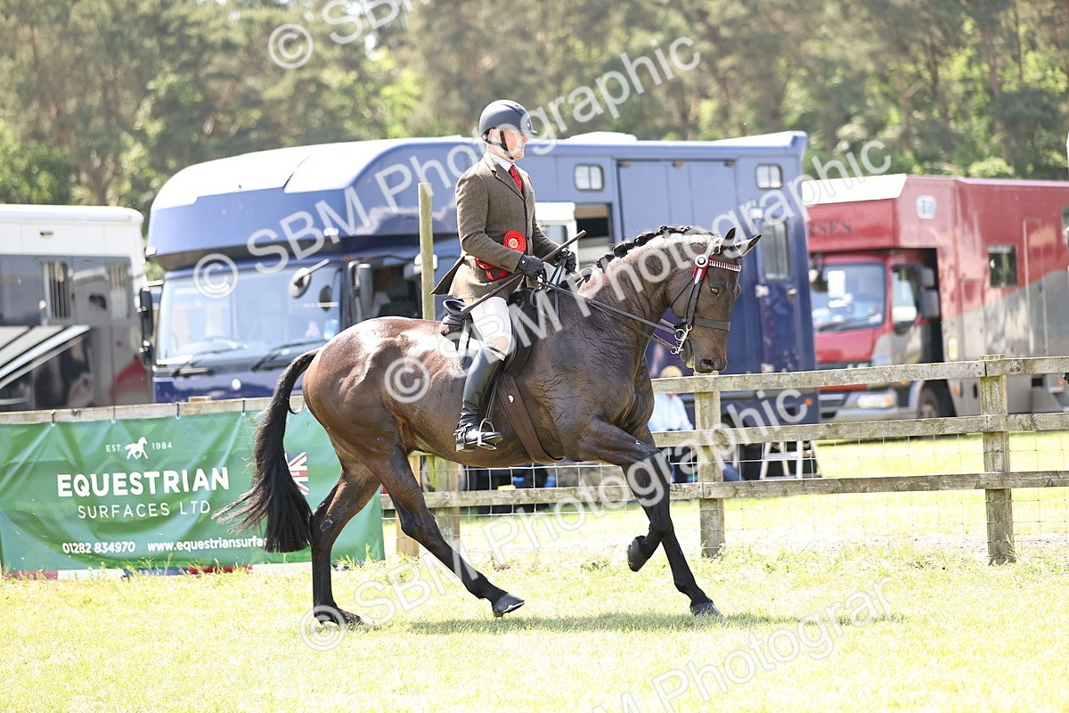 SBM_15013 - Class 78 - LIHS BSHA Open Racehorse & Show Horse