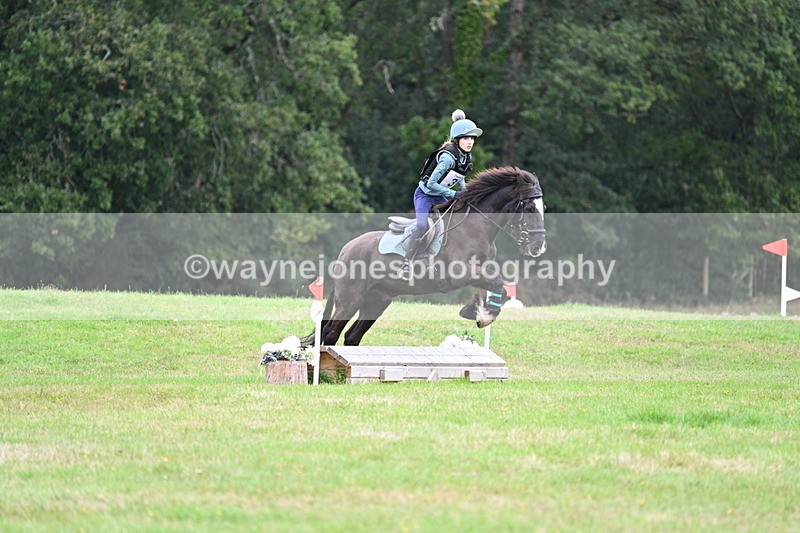 WJ7_7684 - 40cm Time 10:49 to 11:18