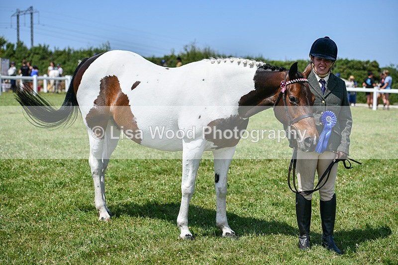 DSC_7876 - Class 65: Coloured Horse 4yrs & Over