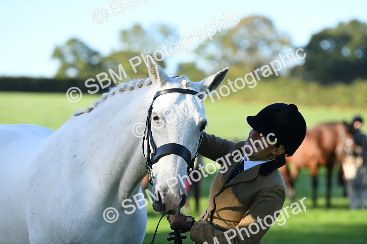 SBM_32815 - S15 - Condition & Turnout In Hand