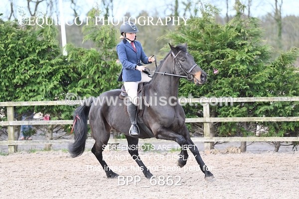 BPP_6862 - RING 1  (RIDDEN HORSES / IN HAND / VETERAN ETC)