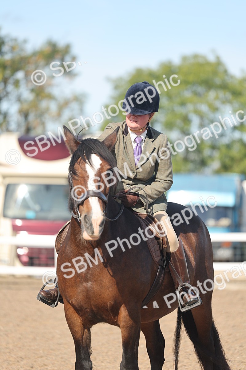 SBM_12380 - Class 304 - Ridden part Bred Horse Pony