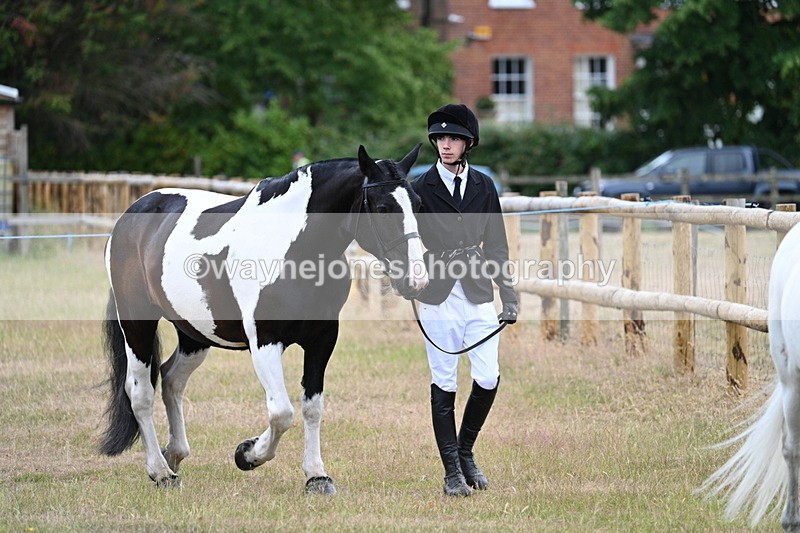 WJ7_9050 - Class 4a Prettiest Mare 14.2hh and over