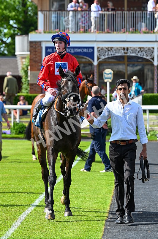 230526-Race 5-Reliable Ricki-7556 - Race 5 15.50pm Reg Bond 'Always And Forever' Handicap