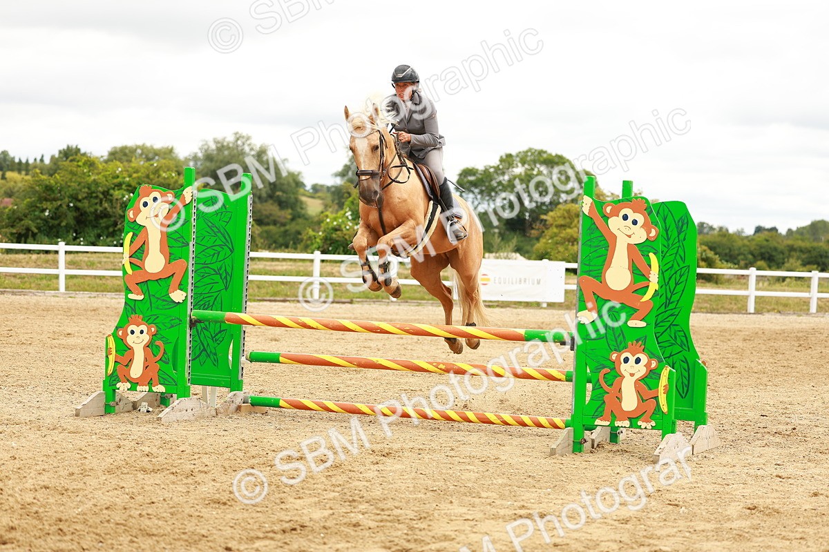 SBM_001959 - Class 9 - Senior British Novice - 90cm