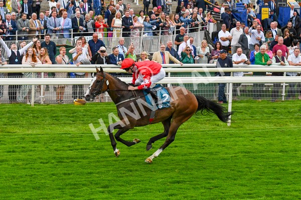 280723-Race 6-Spirit Dancer-0665 - Race 6 7.50pm Sky Bet Extra Places Every Day Handicap