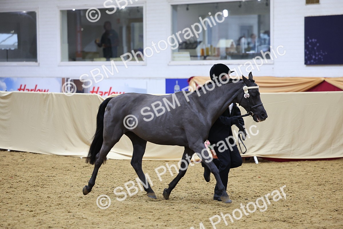 SBM_20922 - Class 902 - Supreme Final IH Veteran