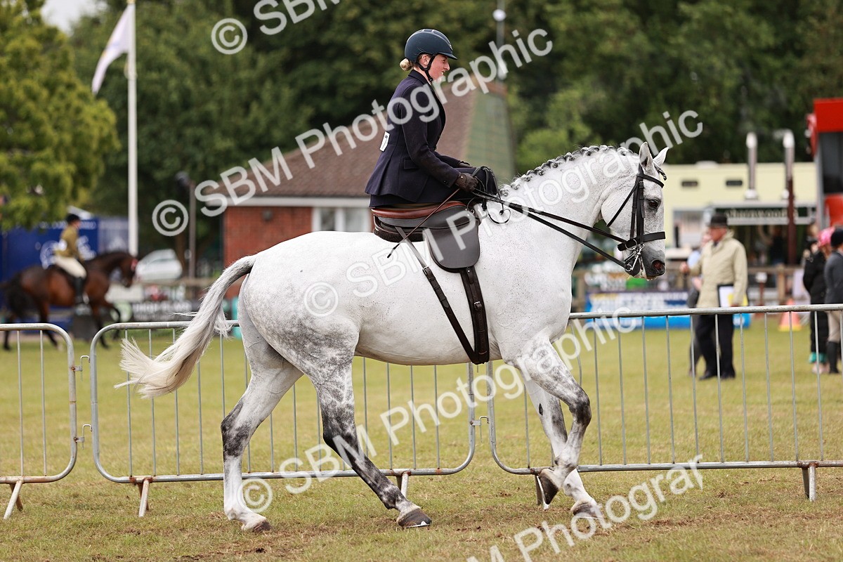 SBM_10973 - Class 81-84 - RIHS Ridden hunters Inc Ladies Hunter