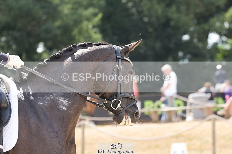 250809A-144347-04366 - 028-Sameera.RahmatallaForget.Me.Not.NE