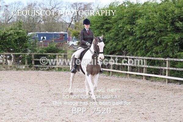 BPP_7520 - RING 1  (RIDDEN HORSES / IN HAND / VETERAN ETC)