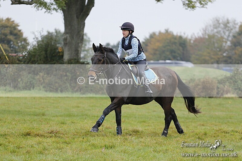 WWHT 181020 WWHT 181020 461 - WWEC Open Novice (0.80m) 18/10/20