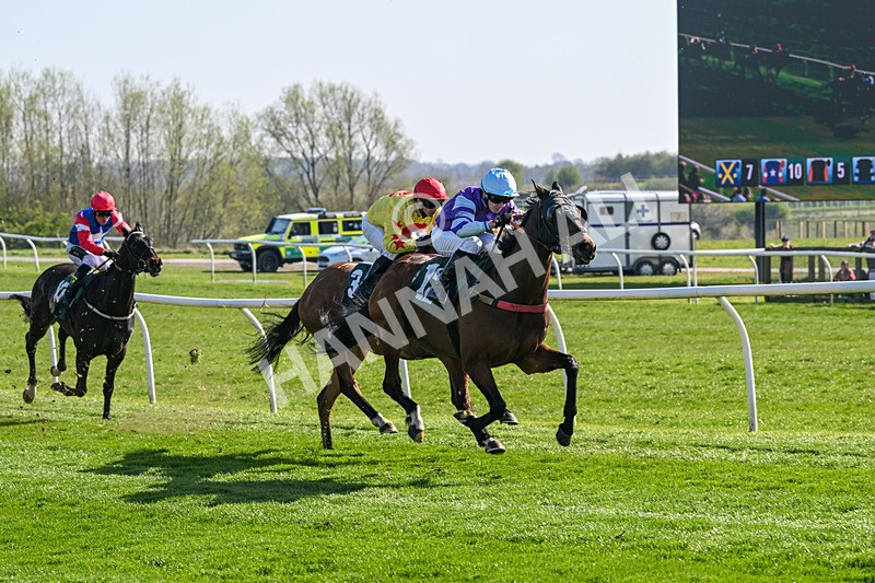 080426-Race 4-Evocative Spark-0354 - Race 4