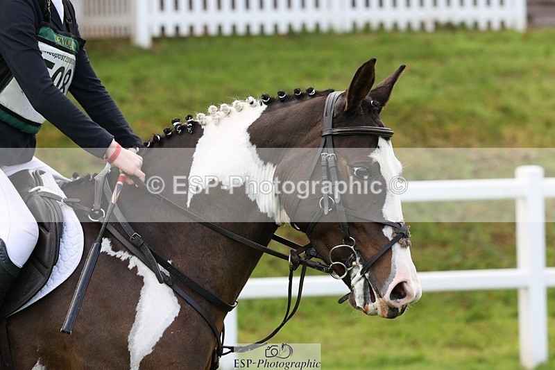 231022-135709-27981 - 508-ROCK.MELODY-Bethy.Naylor-Davis-TrotUp+SJ