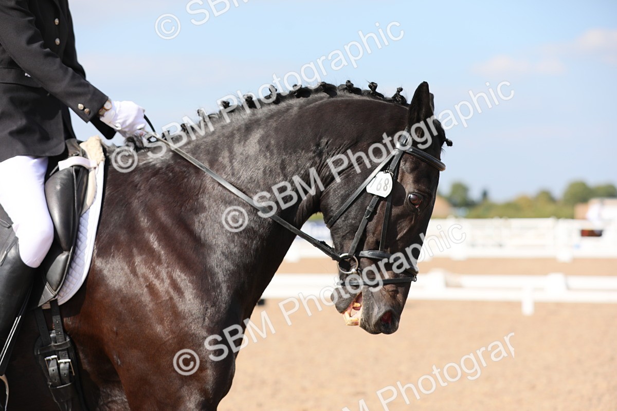 SBM_07854 - Class 33 Elementary 1