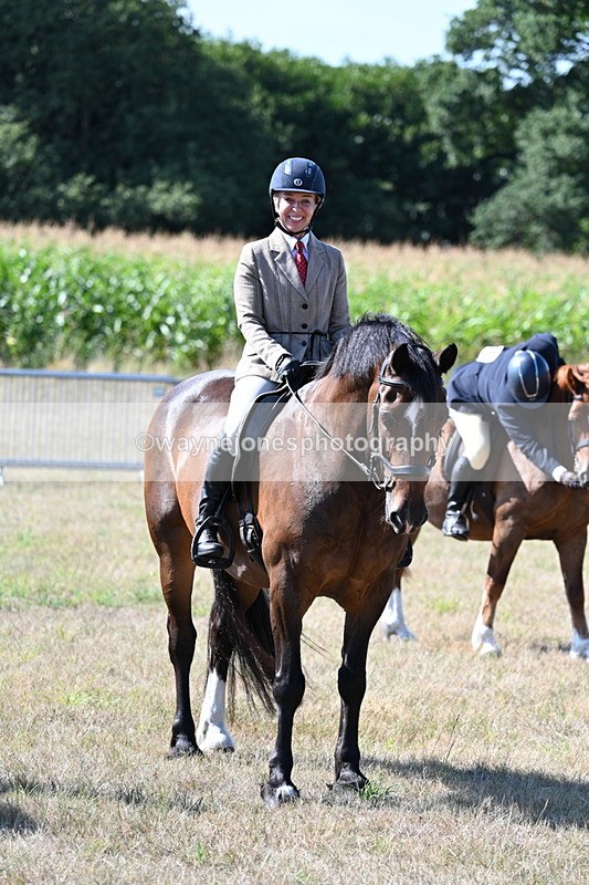 WJ7_3642 - Class 9 Mountain & Moorland Ridden