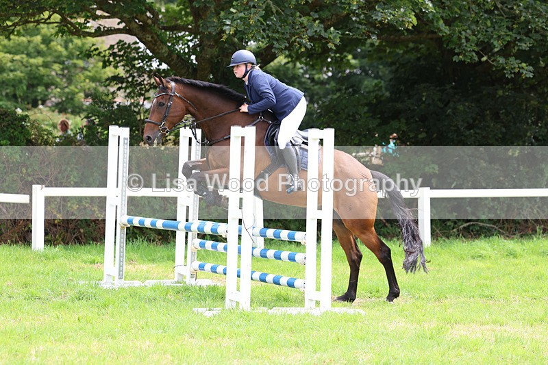 3E7A7366 - Class 5: Senior British Novice/90cm open