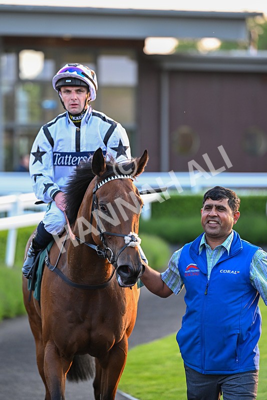 310524-Race 5-Dusk Dame-8981 - Race 5