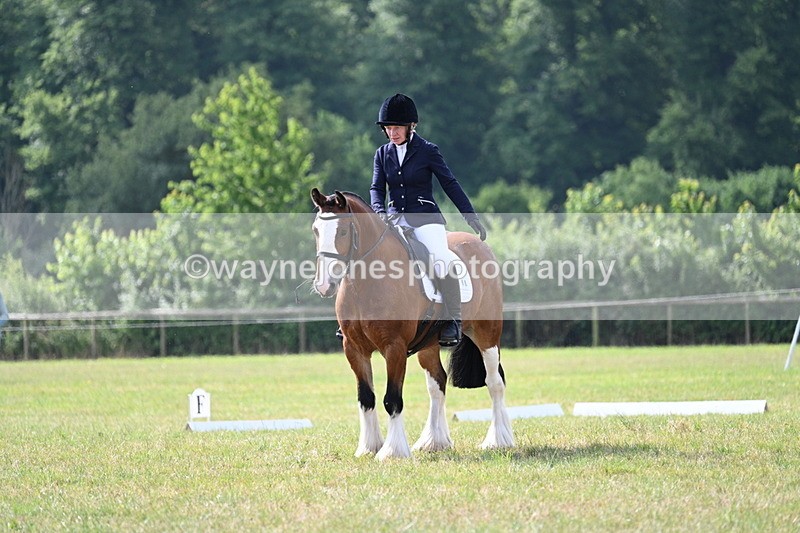 WJ7_1881 - Time 09:00 to 09:22