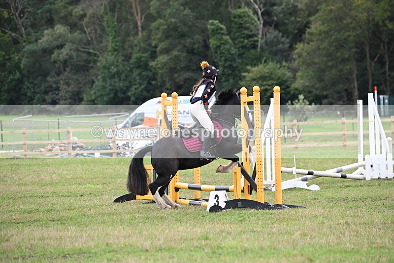 WJ6_0617 - 40cm Time 10:29 to 10:52