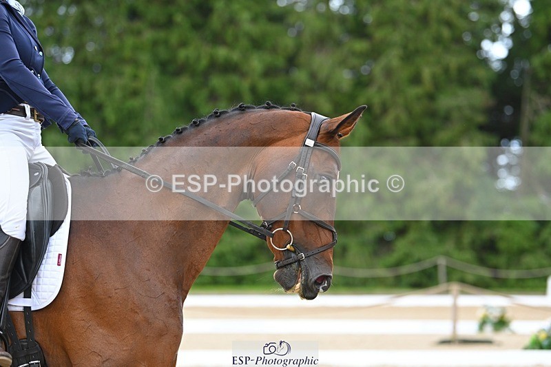 230813-141353-07709 - Cls 13 Medium Bronze 13.15 to End