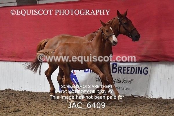 JAC_6409 - 19 Luca