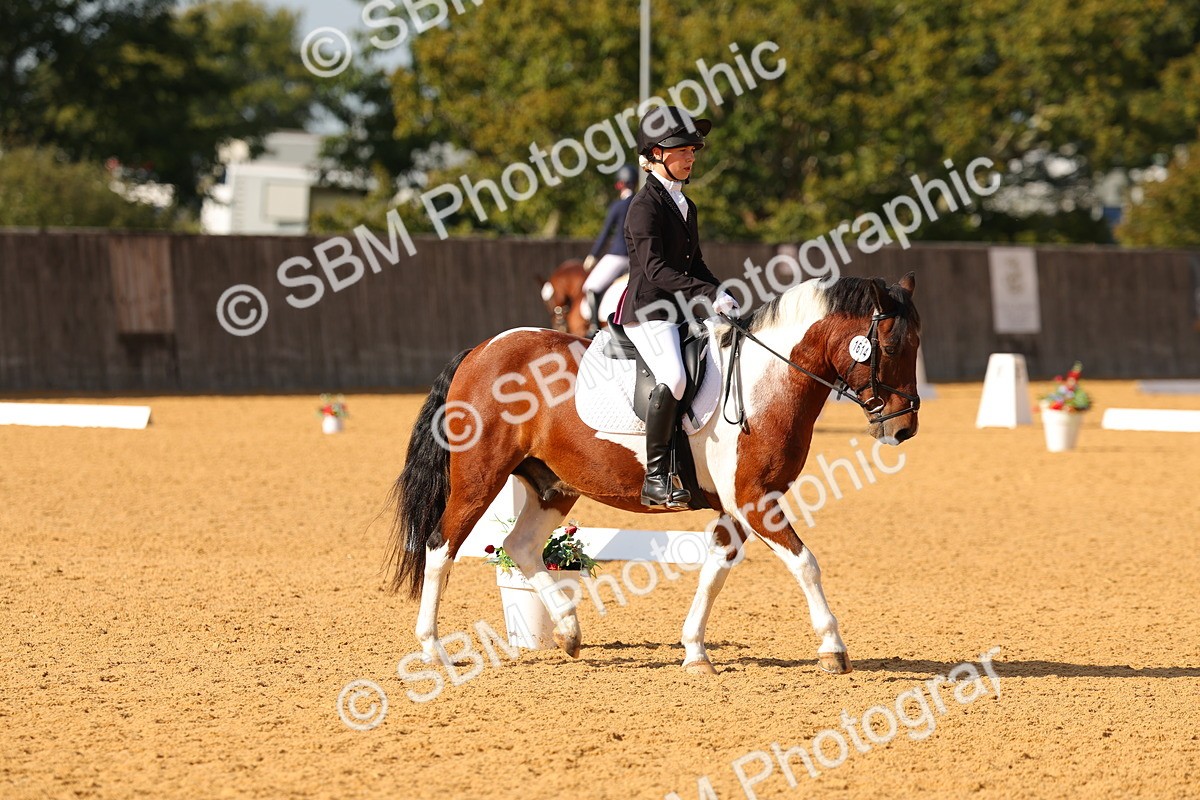 SBM_48440 - D6 - Small Tour Championship - Intro C