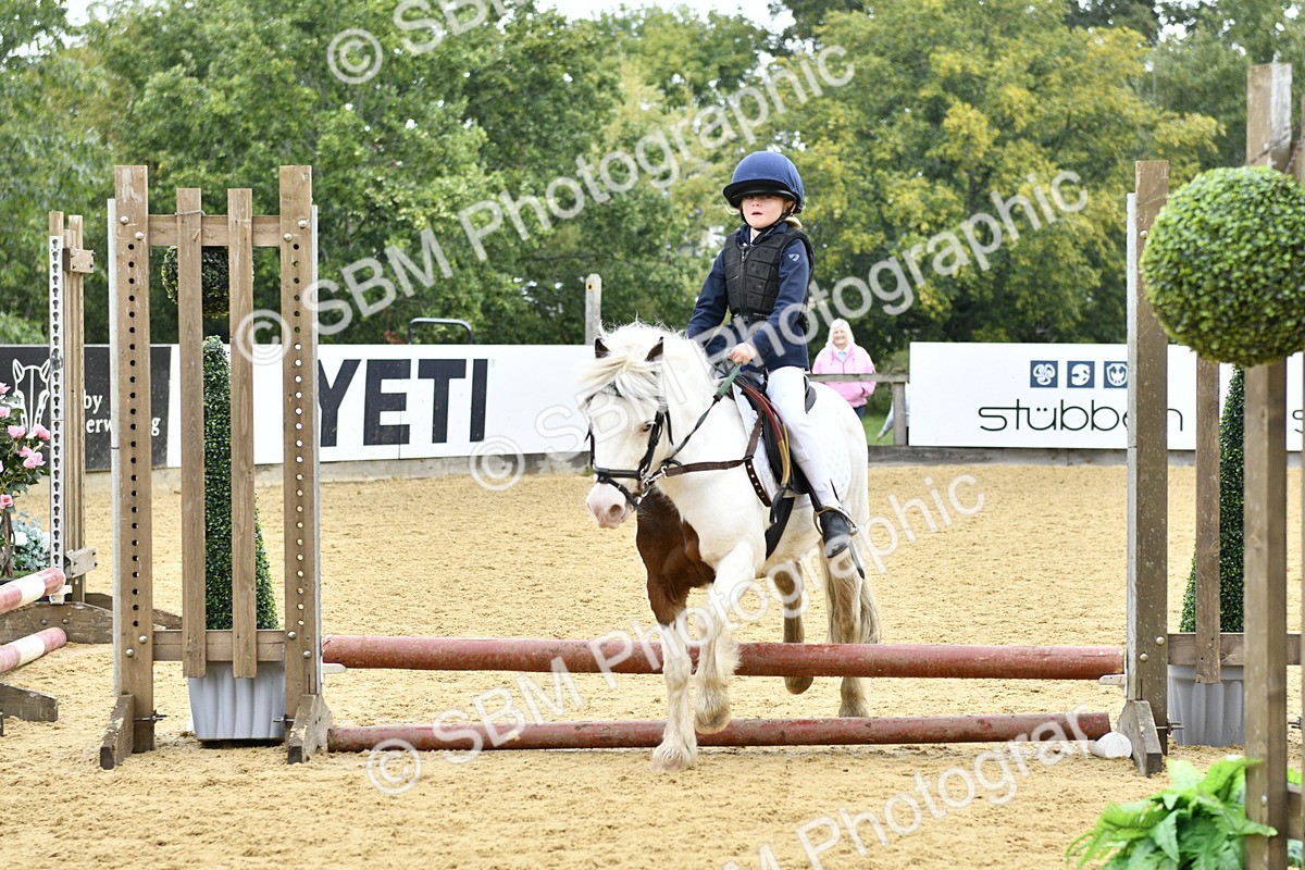 SBM_57268 - J61 - Mini Clear Round 30cm & 40cm