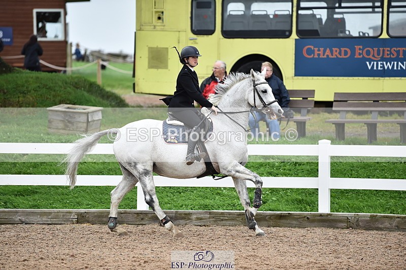 231013A-115040-01498 - Cls 2 95cm Amateur Quali