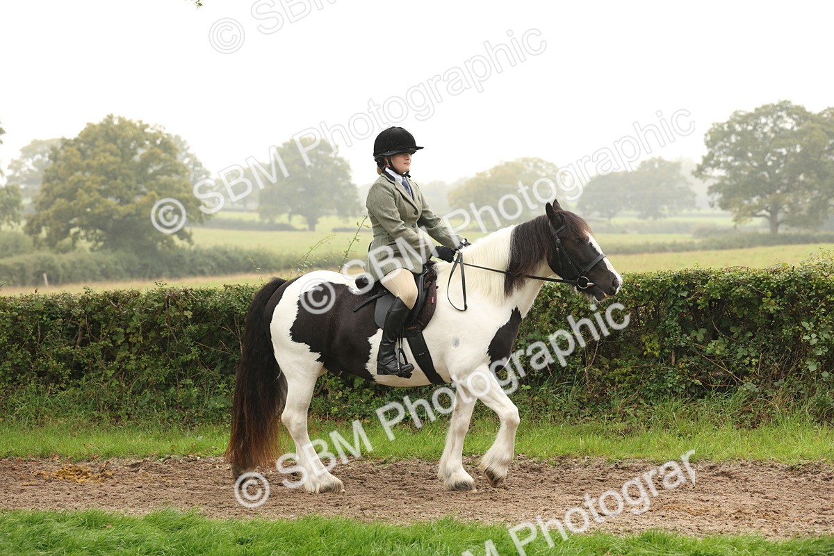 SBM_72663 - S70 - Traditional Cob Ridden