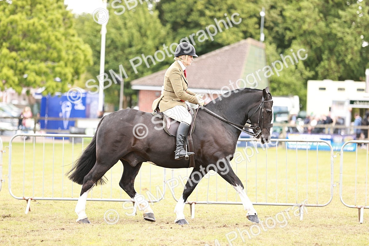 SBM_14085 - Class 85-87 - RIHS Cobs