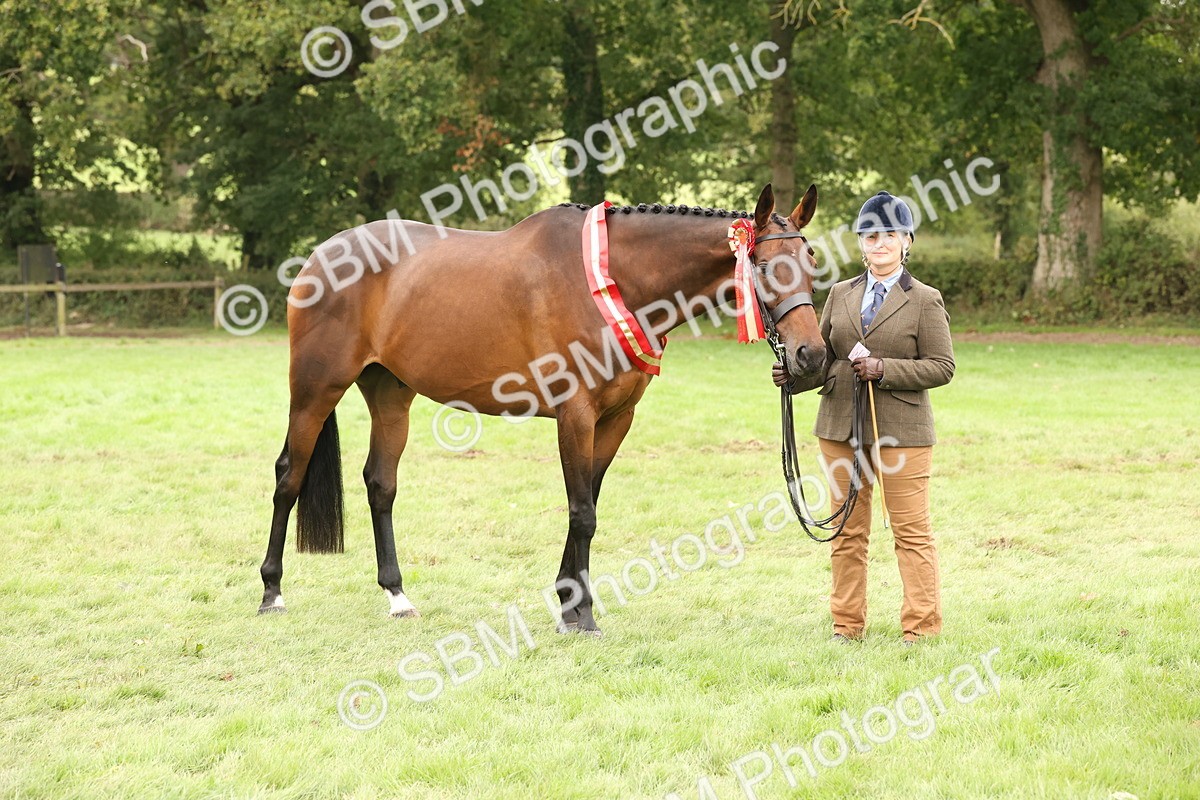 SBM_60880 - In Hand Horse Supreme Championship