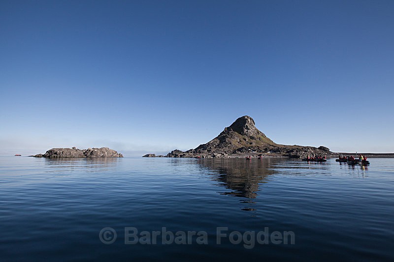 Karl XII øya 7001 - Trip with MS Expedition August 2016