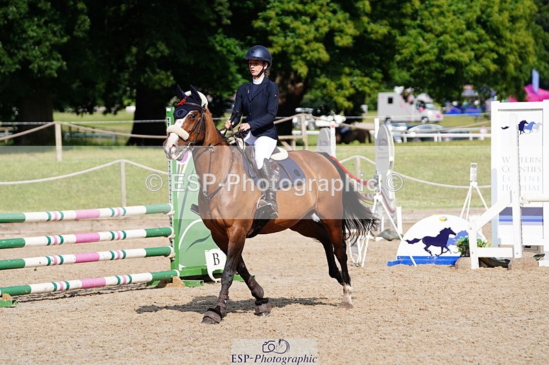 250615A-090722-09754 - Class 43 British Novice 90cm Open